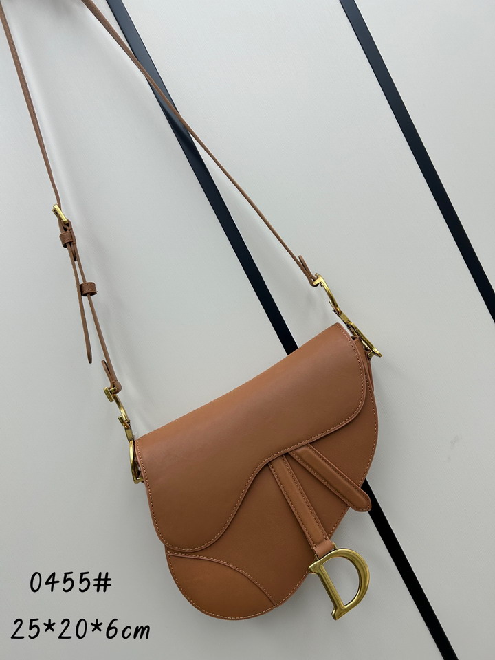Dior saddle 0455 25 5x20x6 5cm jj_1