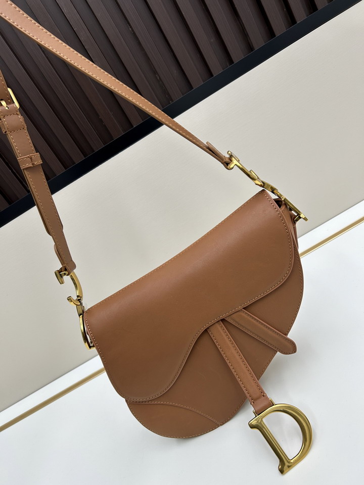 Dior saddle 0455 25 5x20x6 5cm jj_4