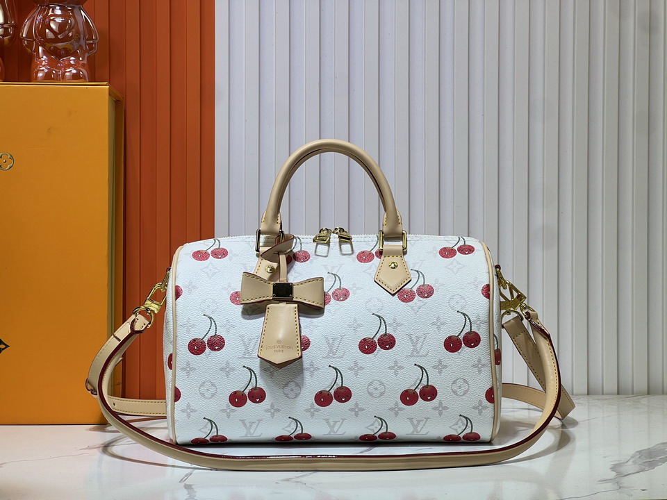 M17089 30x21x17cm ss_1