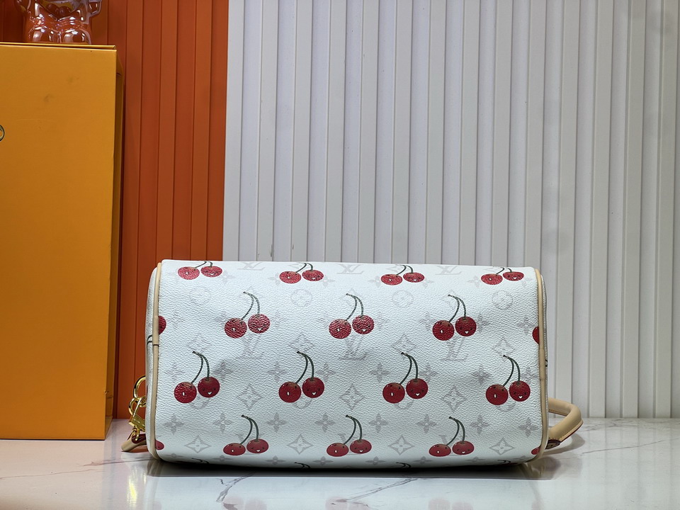 M17089 30x21x17cm ss_7