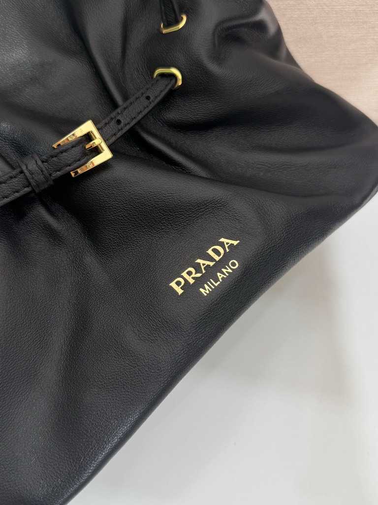 Prada 1BG586 25x17 5x11 5cm AP2_7