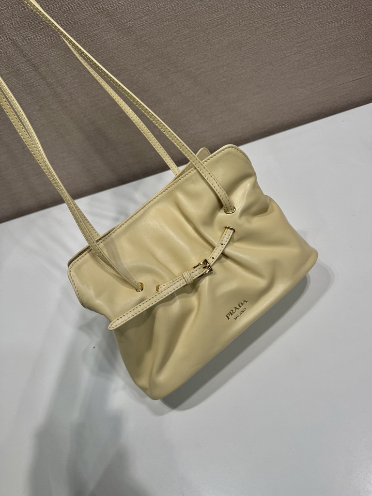 Prada 1BG586 25x17 5x11 5cm AP4_3