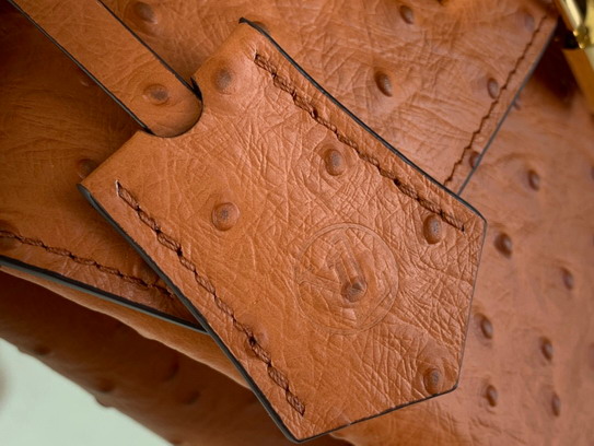 Rosedes vents N84207 19x15x9cm gf5_7