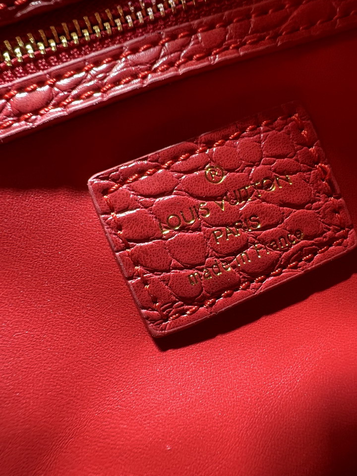 Speedy M24424 25x15x15cm ss4_9