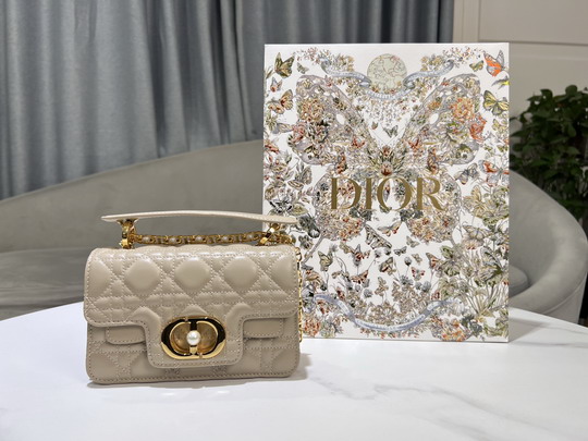 Dior Jolie 9224 19x12x6cm yz1_1