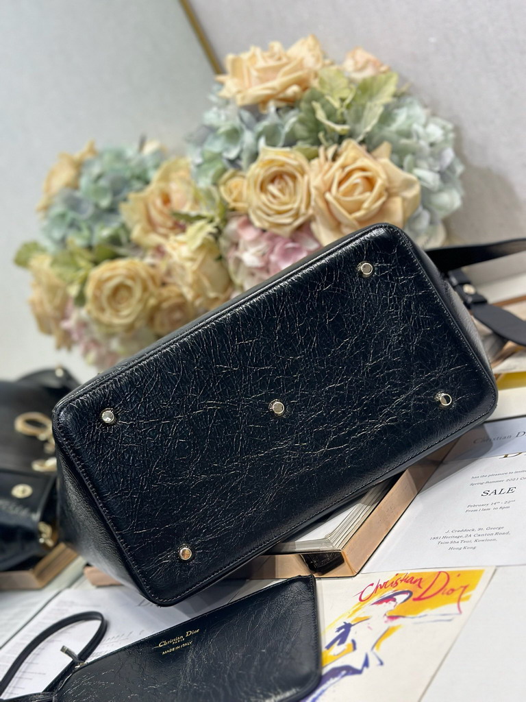 Dior 1188 28x21x16cm yz3_6