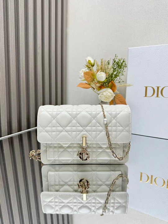Dior 3105 19 5x12 5x5cm yz1_1