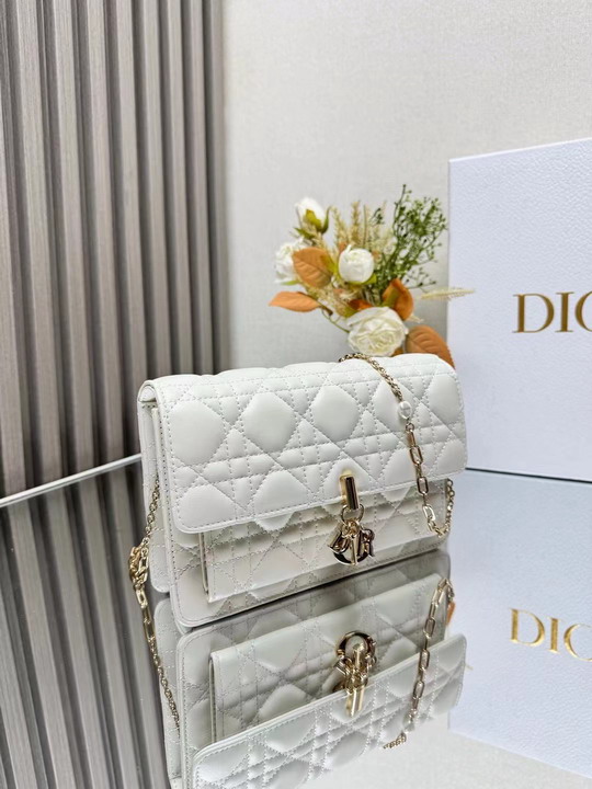 Dior 3105 19 5x12 5x5cm yz1_4