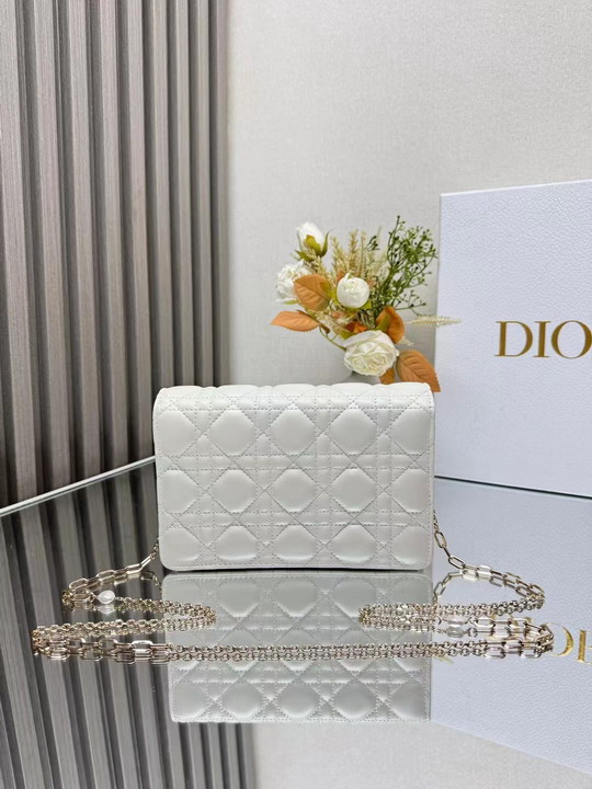 Dior 3105 19 5x12 5x5cm yz1_5