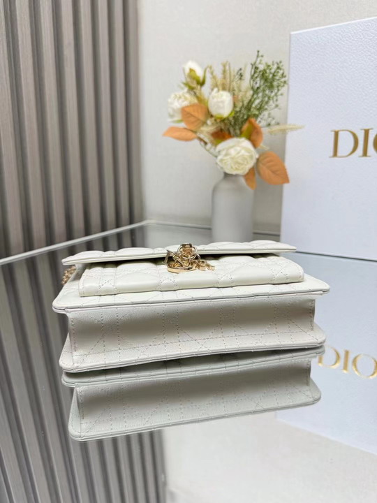 Dior 3105 19 5x12 5x5cm yz1_6