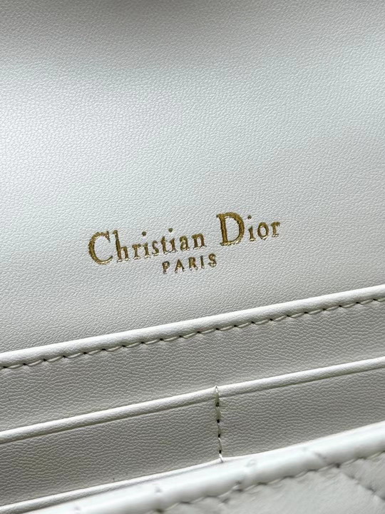 Dior 3105 19 5x12 5x5cm yz1_7