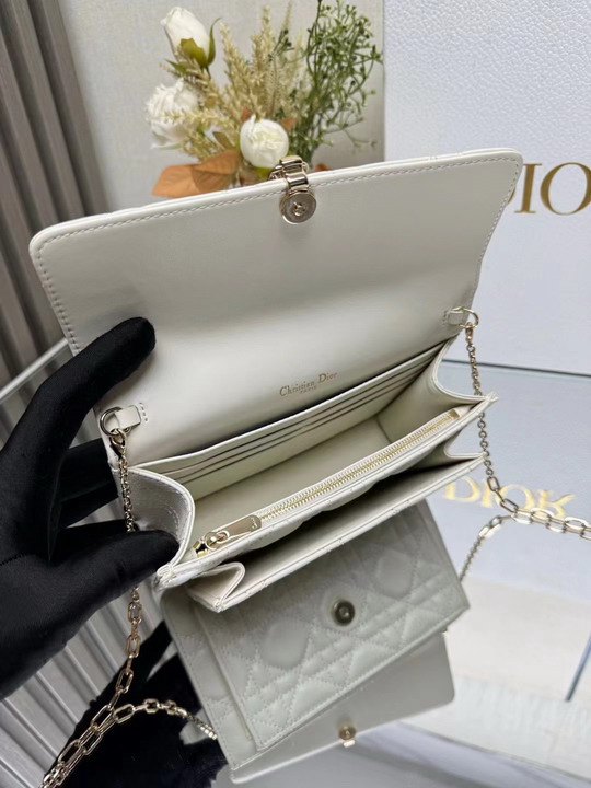 Dior 3105 19 5x12 5x5cm yz1_9