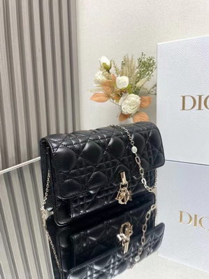 Dior 3105 19 5x12 5x5cm yz_4