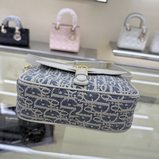 Dior 4600 19 5x11x6 5cm yz_6