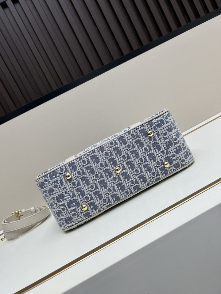 Dior 8029 31x22 5x11 5cm jj_5