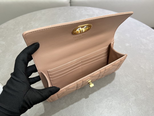 Dior Caro 5221 24x12x4cm yz12_6