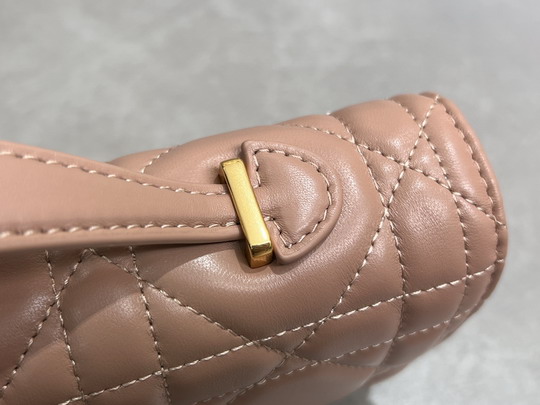 Dior Caro 5221 24x12x4cm yz12_8