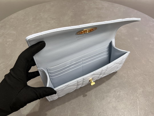 Dior Caro 5221 24x12x4cm yz13_9
