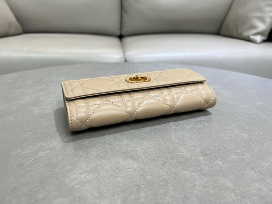 Dior Caro 5221 24x12x4cm yz14_7