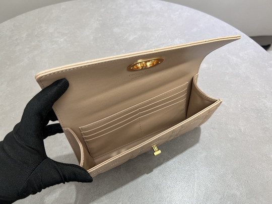 Dior Caro 5221 24x12x4cm yz14_8