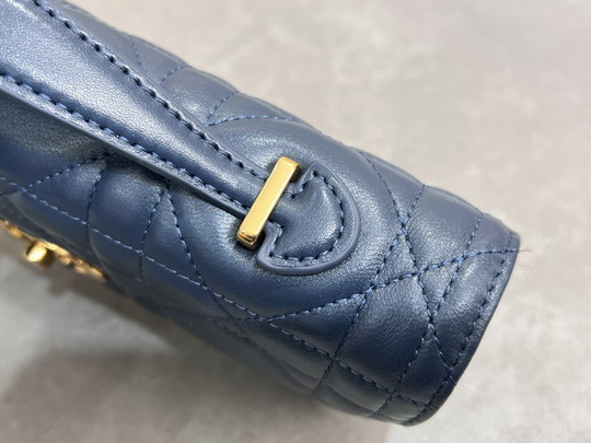 Dior Caro 5221 24x12x4cm yz15_5