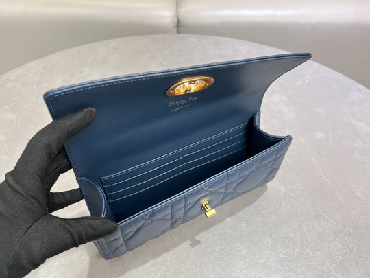 Dior Caro 5221 24x12x4cm yz15_7