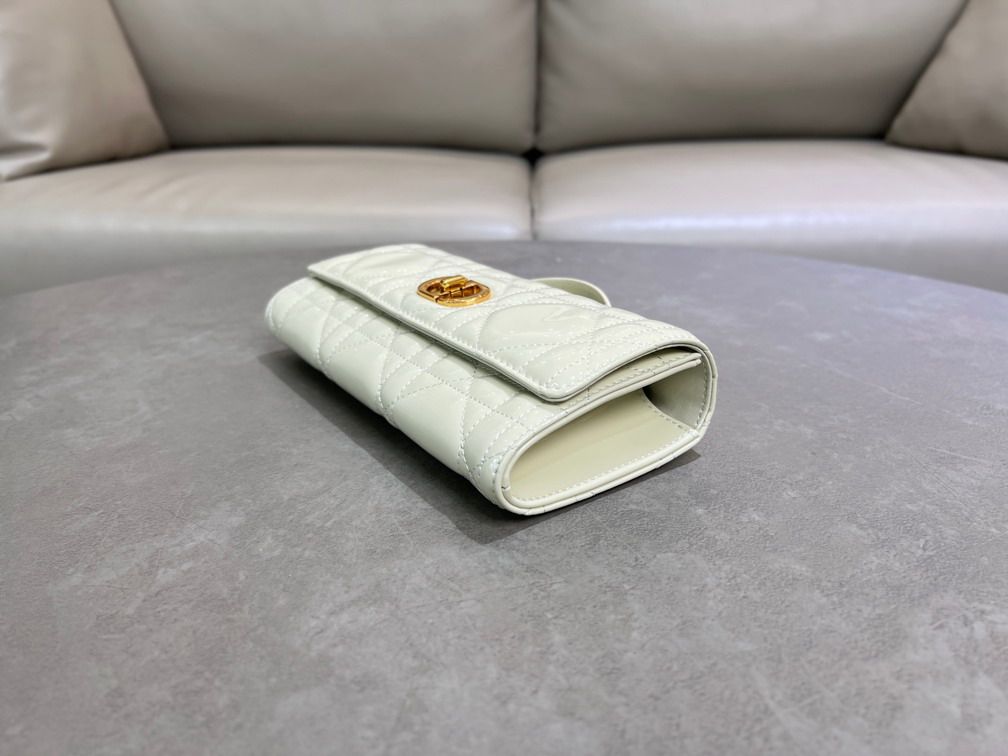 Dior Caro 5221 24x12x4cm yz5_7