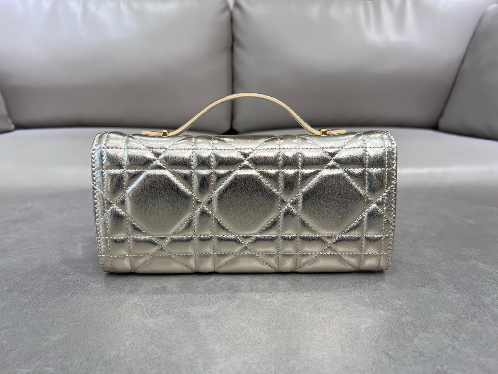 Dior Caro 5221 24x12x4cm yz9_4