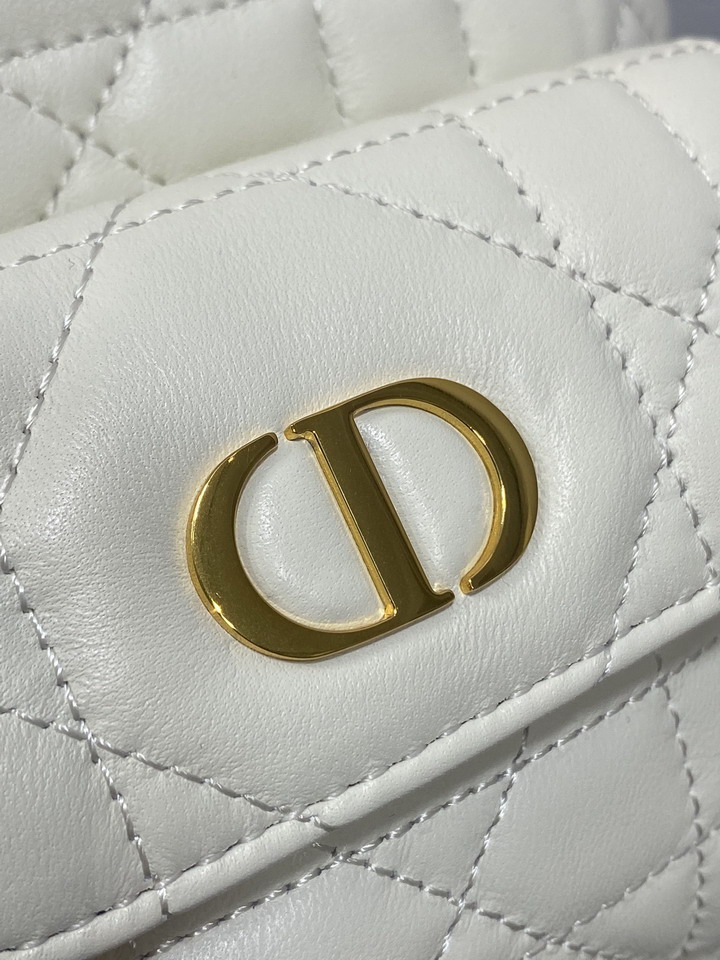 Dior Caro 6607 20x9x24cm yz2_2