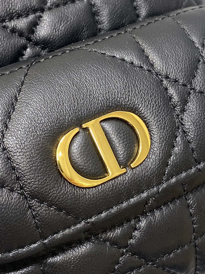 Dior Caro 6607 20x9x24cm yz_3