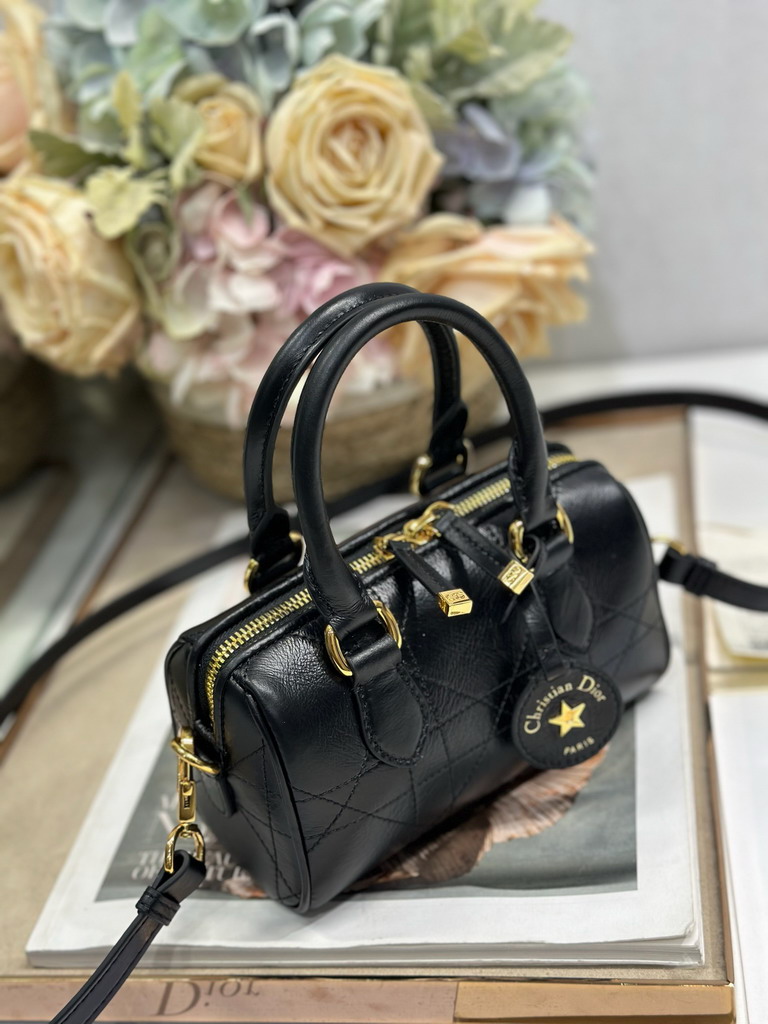 Dior Groove 1365 16x10x8cm yz_2