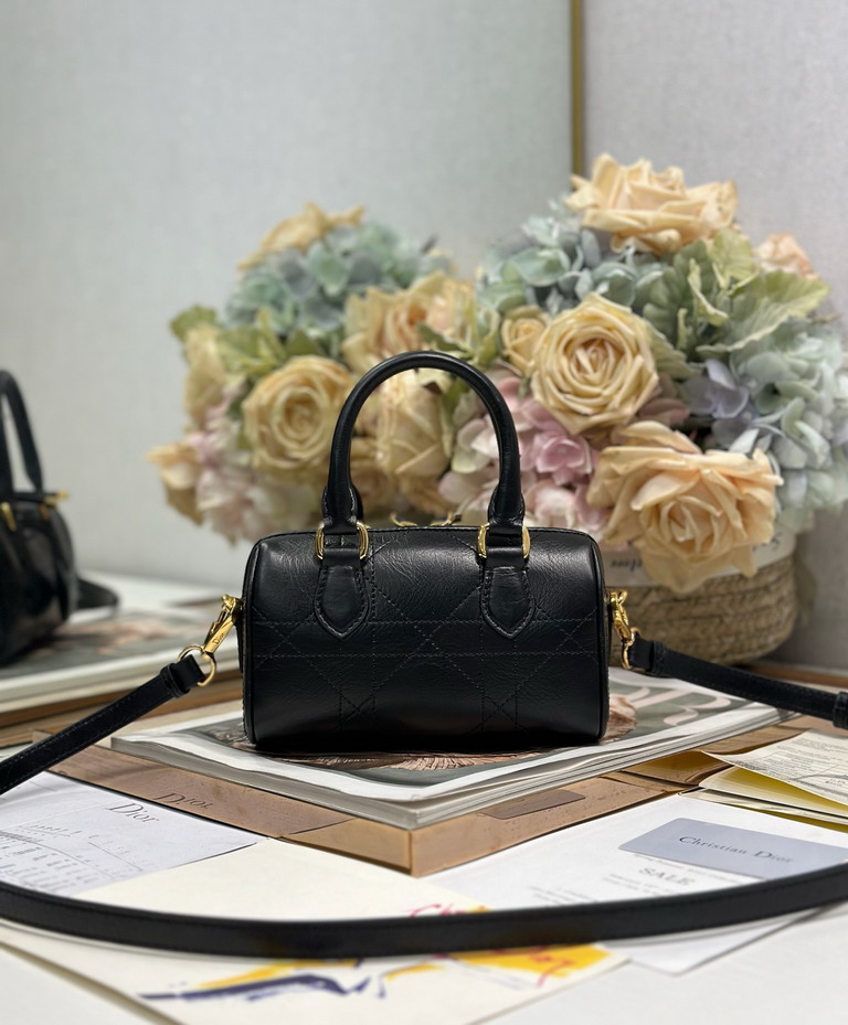 Dior Groove 1365 16x10x8cm yz_6