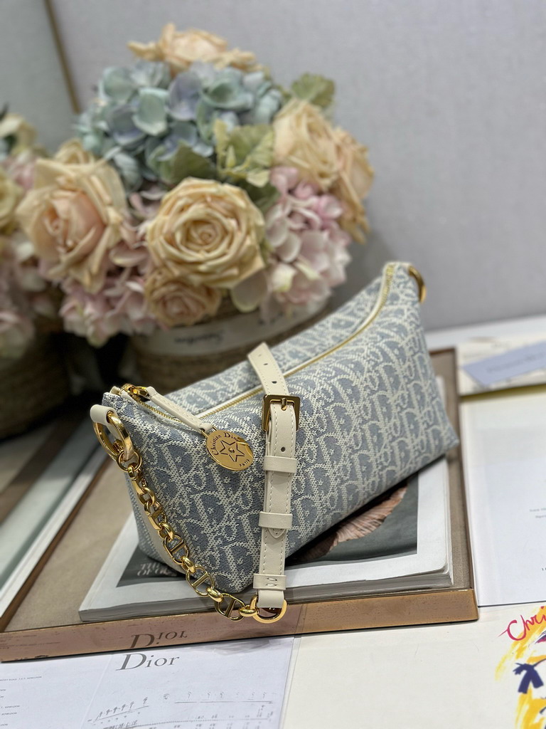 Dior Hobo 3202 28 5x14 5x10cm yz1_2