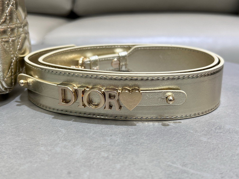 Dior Lady 0504 20x16 5x8cm yz_3