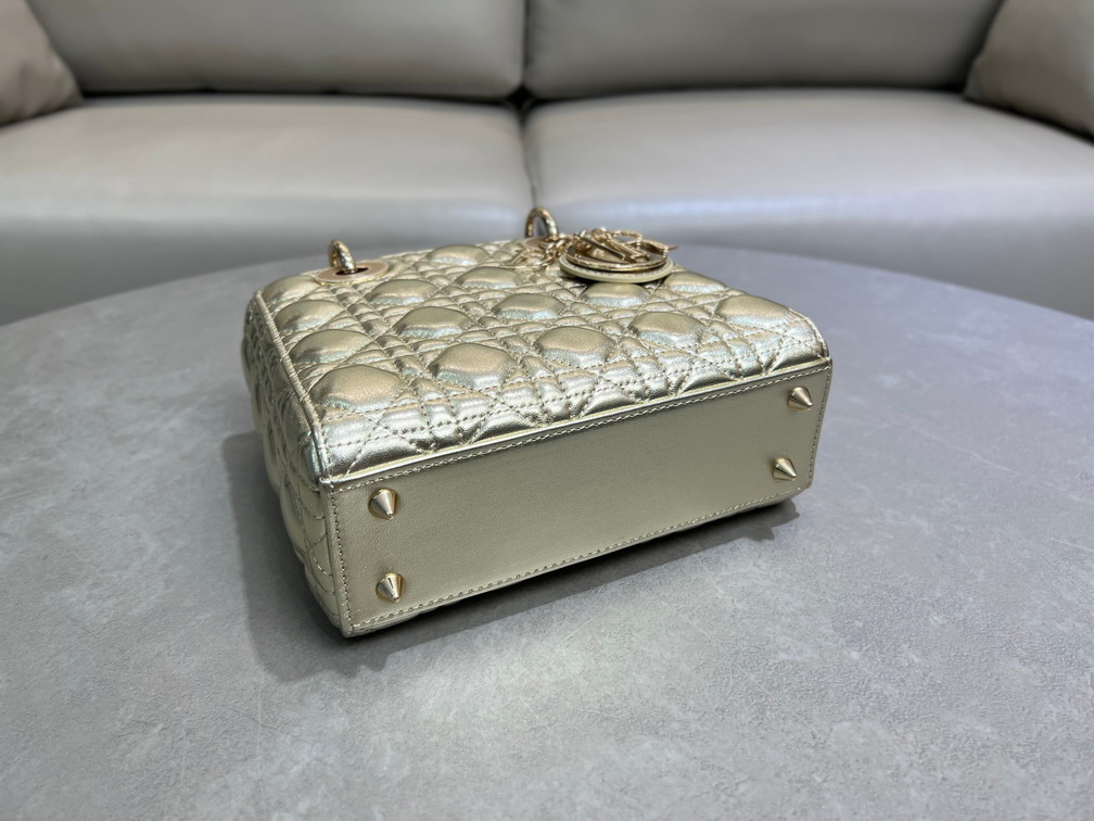 Dior Lady 0504 20x16 5x8cm yz_4