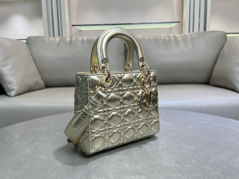 Dior Lady 0504 20x16 5x8cm yz_6