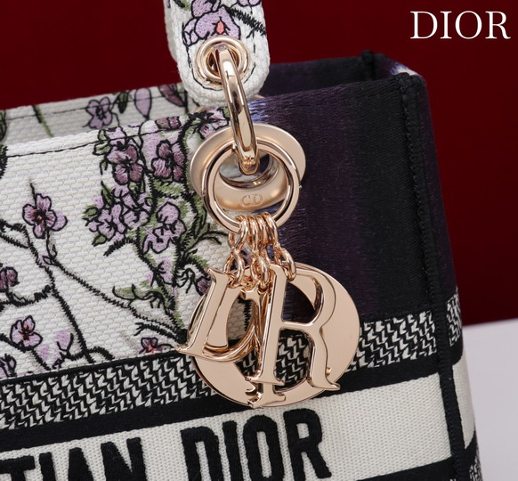 Dior M056594 24x20x11cm yz1_6