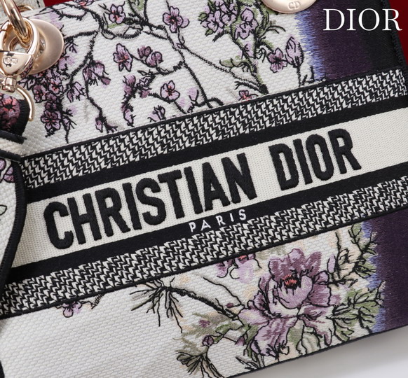 Dior M056594 24x20x11cm yz1_8