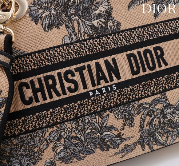 Dior M056594 24x20x11cm yz2_8