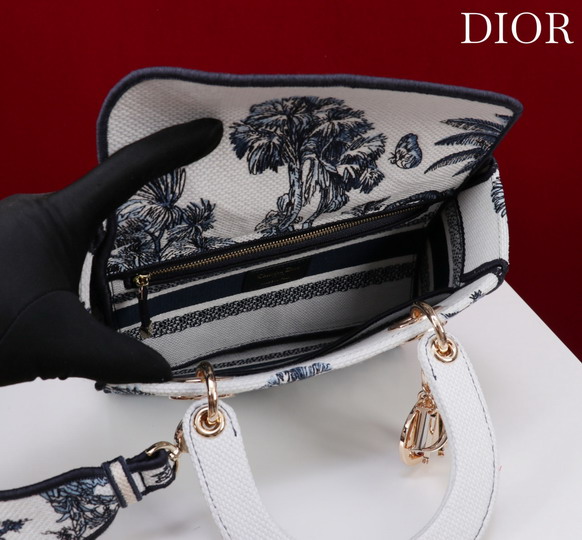 Dior M056594 24x20x11cm yz3_5