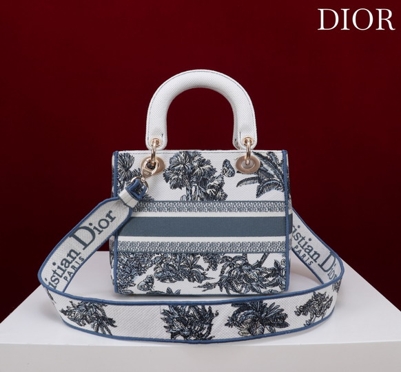 Dior M056594 24x20x11cm yz_3