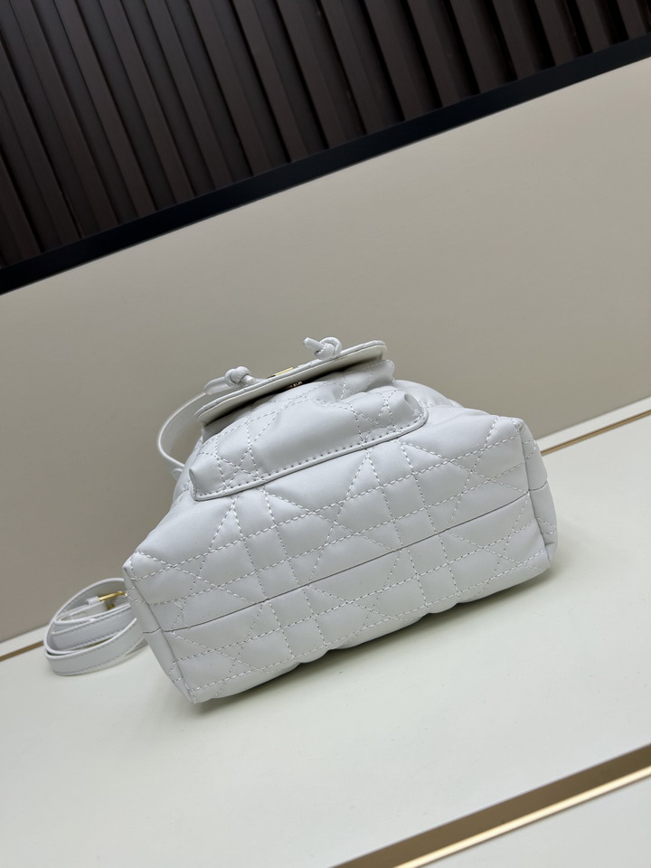 Dior caro 3372 20x24x9cm jj2_5