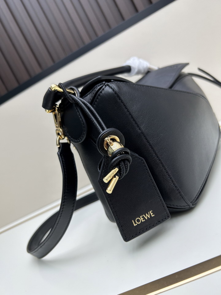 Loewe S25050527 24x16 5x10 5cm jj_5