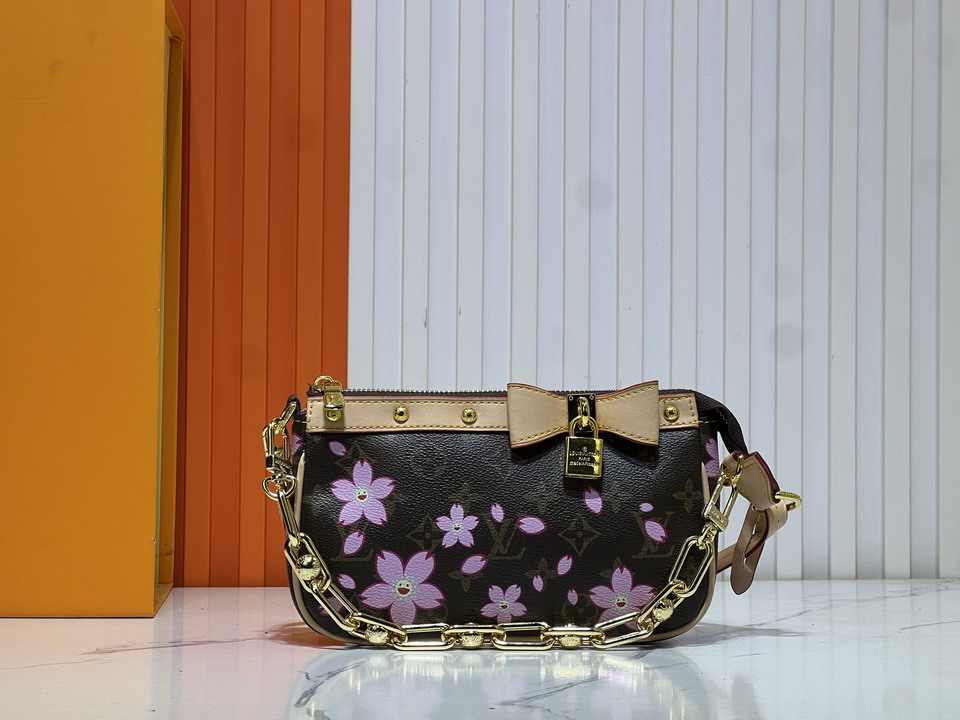 Pochette Acc M13666 22x13x4cm ss_1