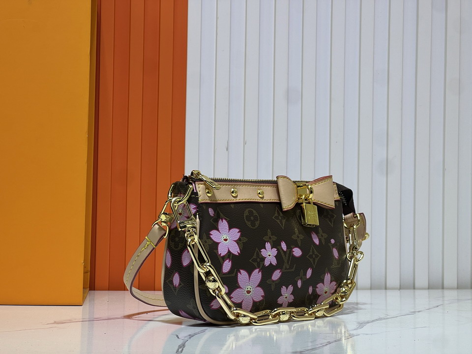 Pochette Acc M13666 22x13x4cm ss_2