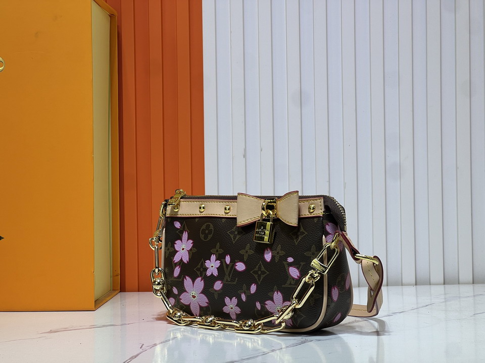 Pochette Acc M13666 22x13x4cm ss_3