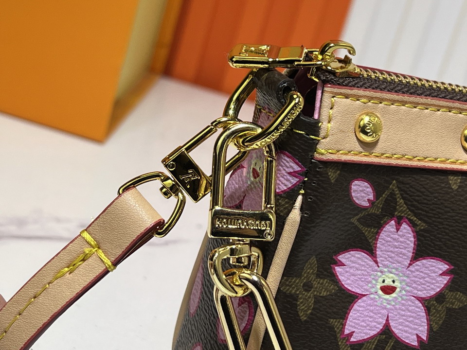 Pochette Acc M13666 22x13x4cm ss_5