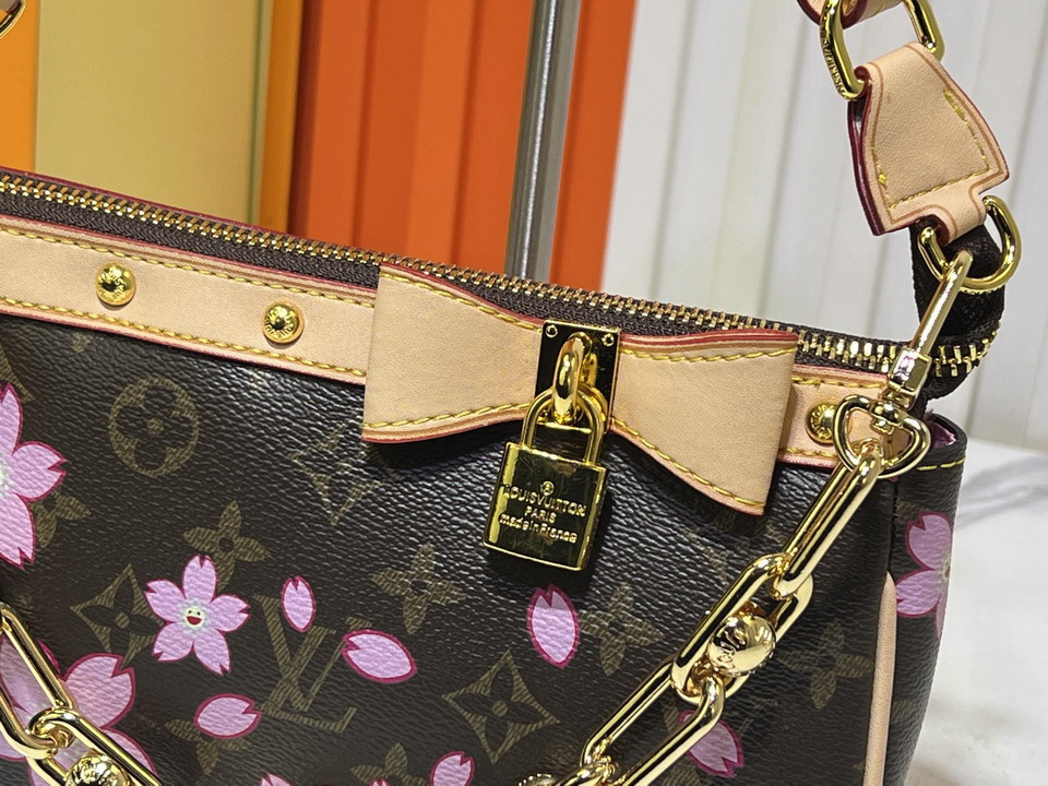 Pochette Acc M13666 22x13x4cm ss_6