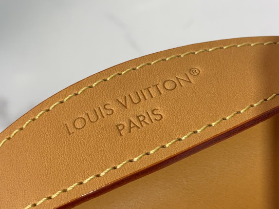 Steamer N00187 20x11x5cm gf_5