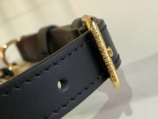 Bumbag m14353 31x15x6cm gf_7